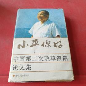 小平你好 中国第二次改革浪潮论文集