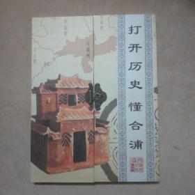 打开历史懂合浦(有DVD1张，有原盒子装)