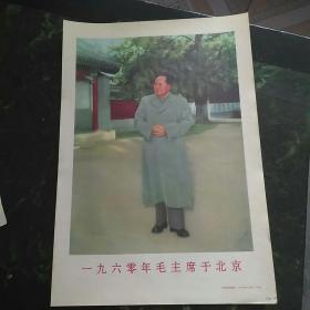 宣传画   一九六零年毛主席于北京