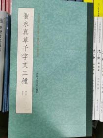 智永真草千字文二种  正版艺术  关中本 墨迹本