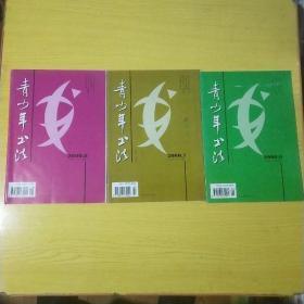 青少年书法  2000年第6.7.8期