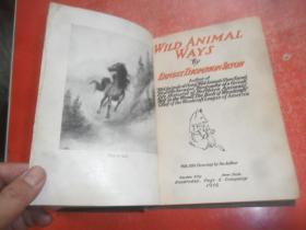 WILD ANIMAL WAYS野生动物（内附多张精美插图）精装，1916年印刷