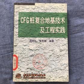 CFG桩复合地基技术及工程实践（特价/封底打有圆孔）