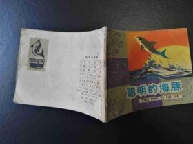 聪明的海豚