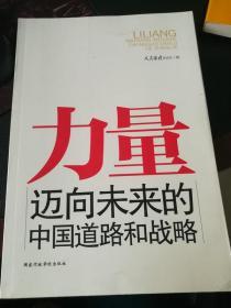 力量：迈向未来的中国道路和战略