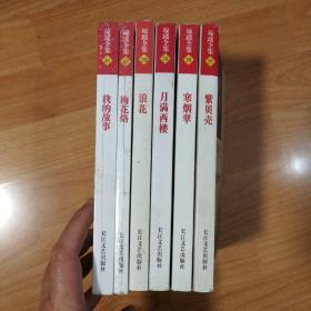 琼瑶全集（17紫贝壳18寒烟翠19月满西楼28浪花41我的故事47梅花烙）6册合售