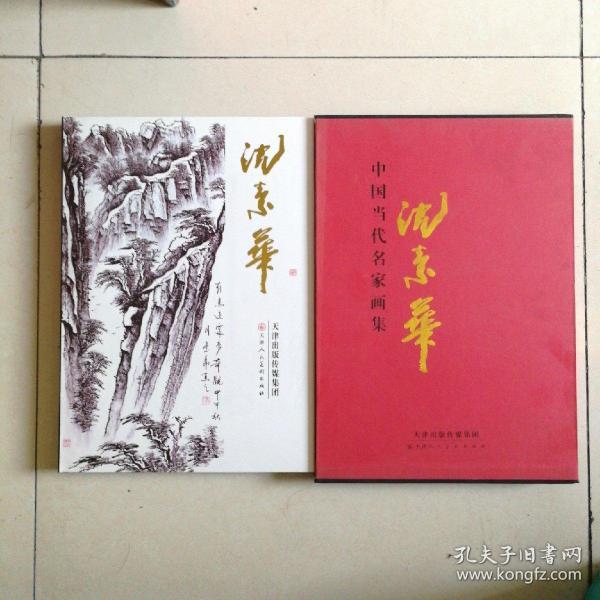 中国当代名家画集：沈素华