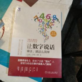 让数字说话：审计，就这么简单