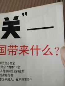 入关  给中国带来什么?