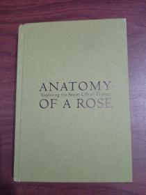 ANATOMY OF A ROSE/花朵的秘密生命