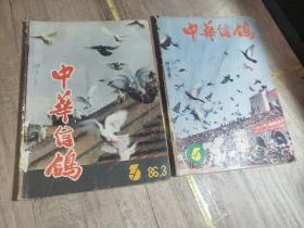 中华信鸽 1986年第3.87年第7.9.10期（3期）88年第13.14期（2期）89年第15～17期（3期）90年第22期（1期）91年第23～26期（4期全）92年第1.93年第4.5.6.期（3期）  共17本合售