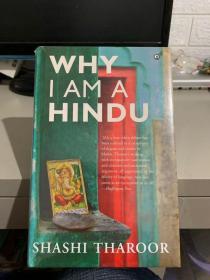 why i am a hindu（精装 全新未拆封）