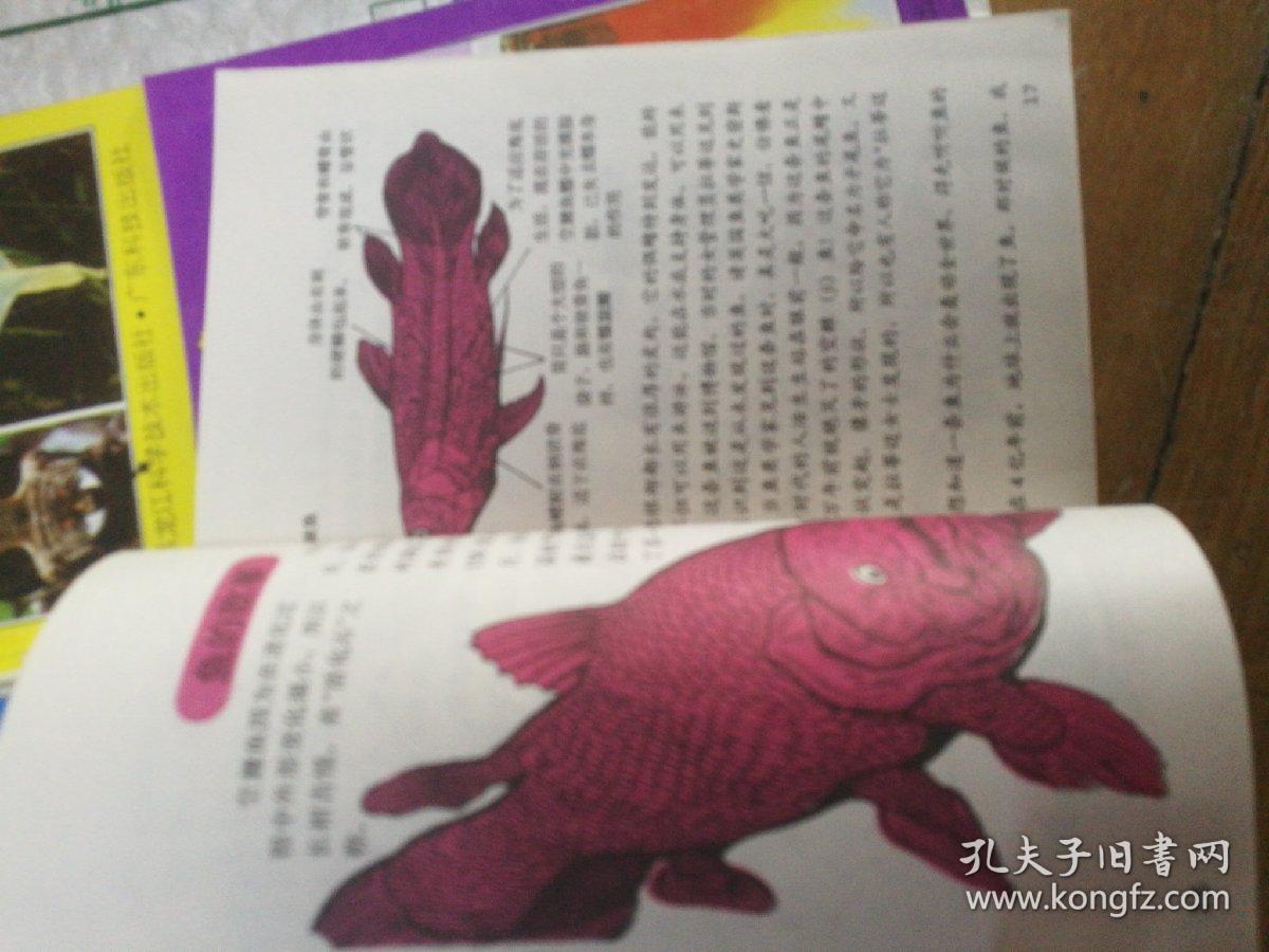 华一儿童知识宝库 4册合售
带书盒