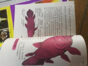 华一儿童知识宝库 4册合售
带书盒