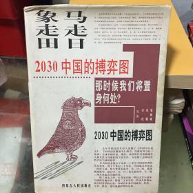 马走日.象走田-2030中国的搏弈图