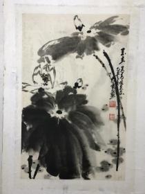 张宽精品荷花带款（已故著名画家）