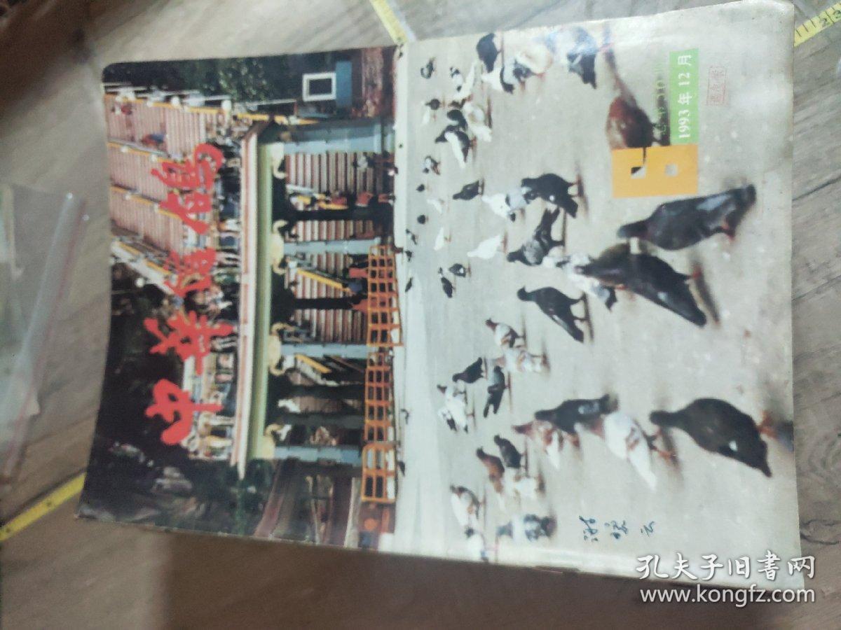 中华信鸽 1986年第3.87年第7.9.10期（3期）88年第13.14期（2期）89年第15～17期（3期）90年第22期（1期）91年第23～26期（4期全）92年第1.93年第4.5.6.期（3期）  共17本合售