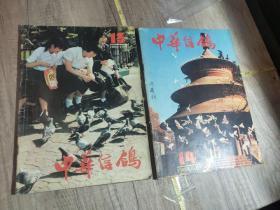 中华信鸽 1986年第3.87年第7.9.10期（3期）88年第13.14期（2期）89年第15～17期（3期）90年第22期（1期）91年第23～26期（4期全）92年第1.93年第4.5.6.期（3期）  共17本合售