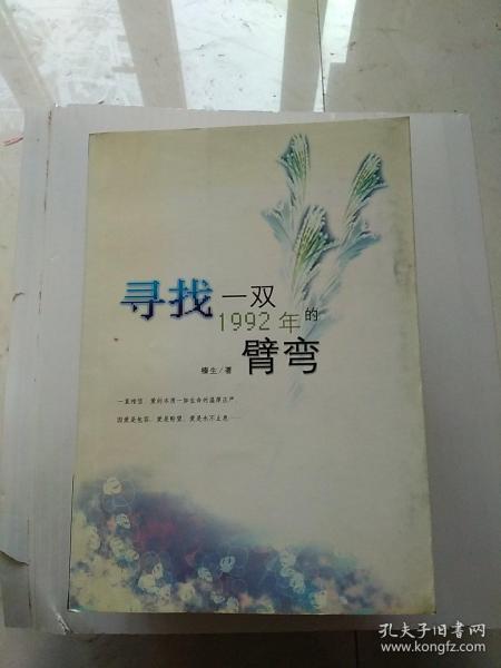 寻找一双1992年的臂弯：新经典文库