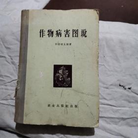 作物病害图说