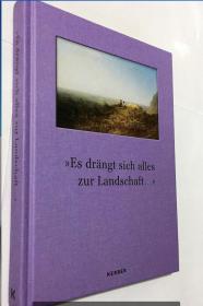 ES DRANGT  SICH ALLES ZUR  LANDSCHAFT 德语艺术画册  精装