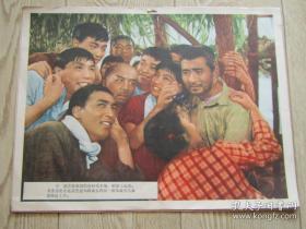 电影海报剧照:青山恋（1964年上映）赵丹最后一部影片