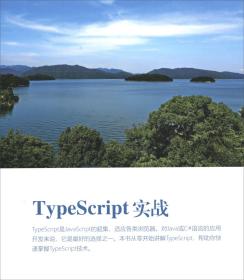 TypeScript实战/Web前端技术丛书