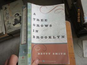 A TREE GROWS IN BROOKLYN 毛边  5066