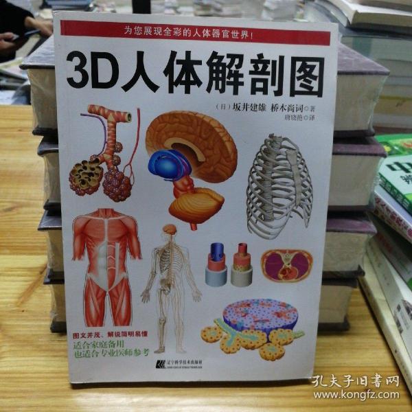 3D人体解剖图