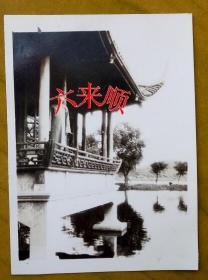 【民国老照片】民国杭州西湖——亭榭。长衫男。《民国——天上人间——杭州之旅系列》