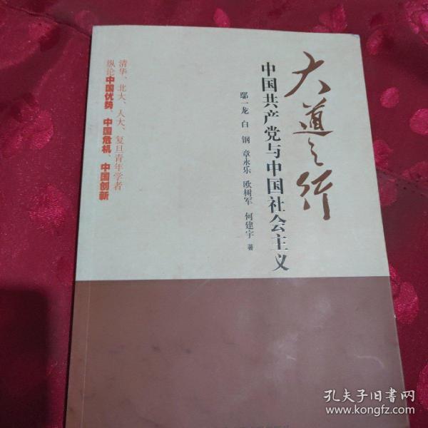 大道之行：中国共产党与中国社会主义