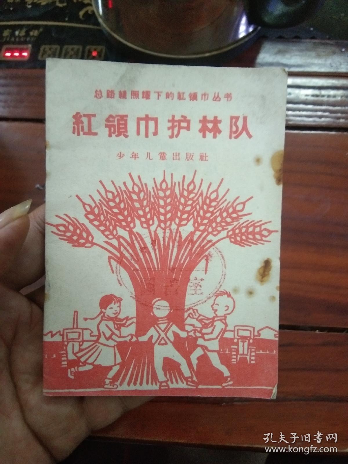 总路线照耀下的红领巾丛书  红领巾护林队（中）