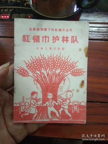 总路线照耀下的红领巾丛书  红领巾护林队（中）