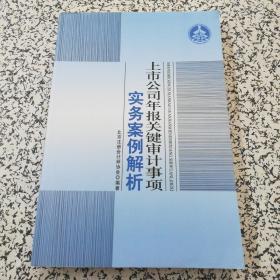 上市公司年报关键审计事项实务案例解析