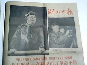 湖北日报1966年9月16日