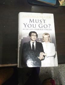 MUST YOU GO? MY LIFE WITH HAROLD PINTER