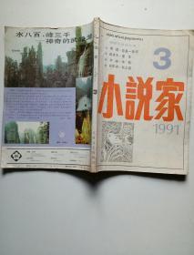 小说家1991年3