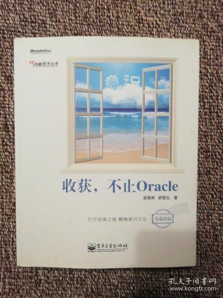 收获，不止Oracle