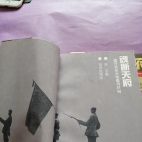 魂断天府，中国解放战争纪实文学