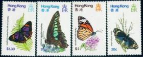 港S18香港蝴蝶