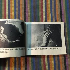神秘的黄玫瑰
