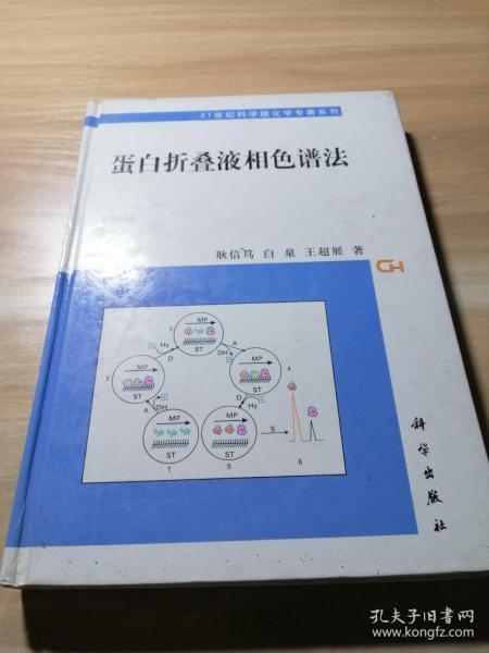 蛋白折叠液相色谱法——21世纪科学版化学专著系列