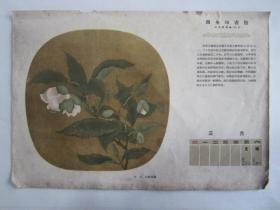 建国初期50年代16开周历画：宋人 白茶花图——商务印书馆