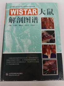 WISTAR大鼠解剖图谱