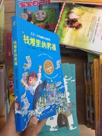 钱堆里的男孩：大卫·少年幽默小说系列