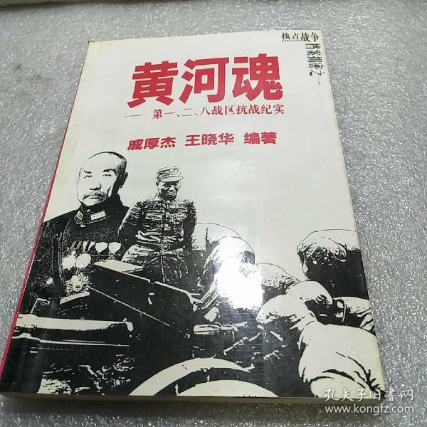 热点战争档案揭密之一——黄河魂：第一、二、八战区抗战纪实