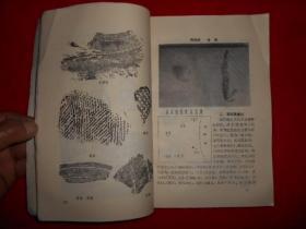 滁州市文物志（滁州市文化丛书之一）