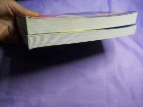 明史纪实小说系列-正德皇帝全传（第三部 第四部）两册合售