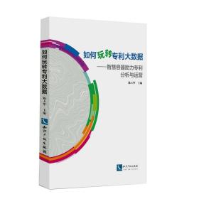 如何玩转专利大数据——智慧容器助力专利分析与运营