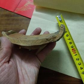 宋代褐色瓷片<少见丶釉满丶开裂>